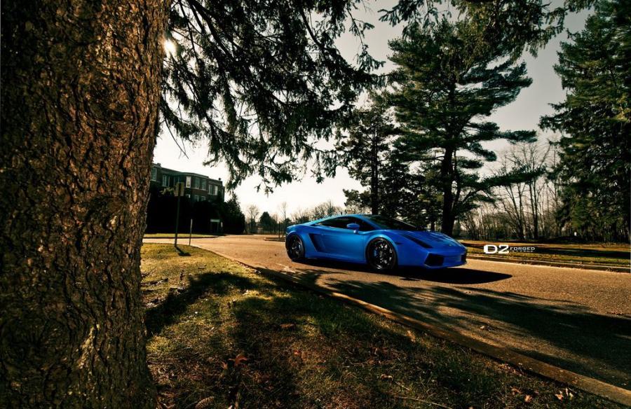  Lamborghini Gallardo VS6 by D2Forged 2012 года  (фото 7 из 7)